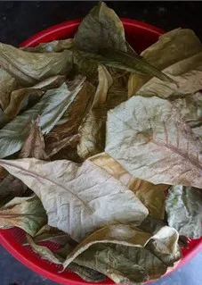 Catappa оставляет вьетнамские листья миндаля Бета рыба креветки природная среда обитания аквариум для рыб снижение PH убивает бактерии