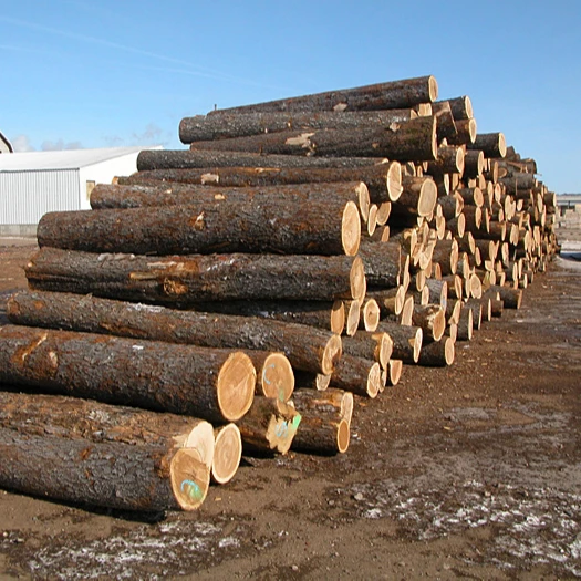 Bulk Sawn Timber. Lumber Iroko Wood For Sale
