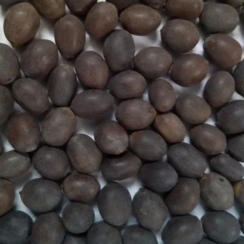 
Lotus seeds for sale in Europe 