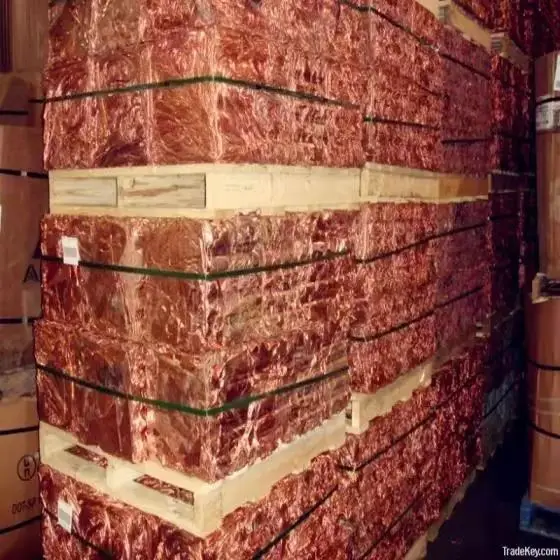 Copper Wire Scrap Wholesaler Suppliers