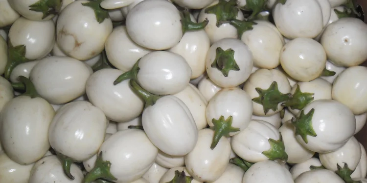 
Garden Eggs 