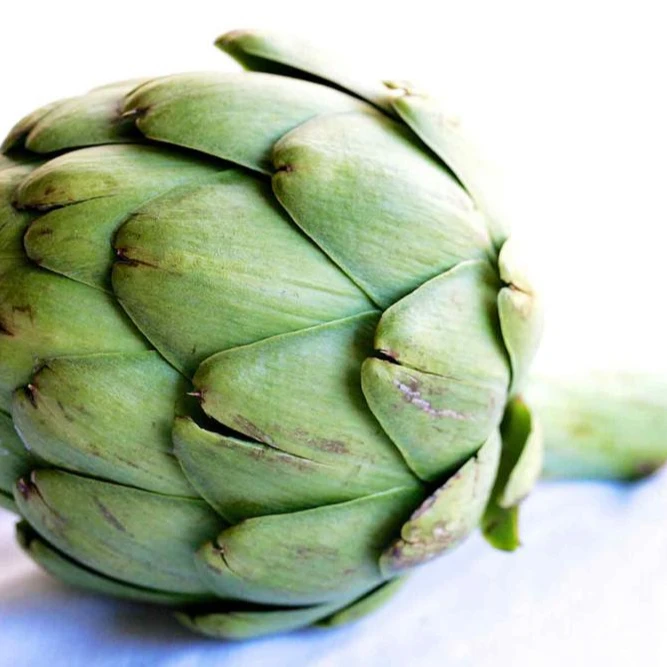 Top Quality Artichoke From Da Lat Viet Nam  HOLIDAY