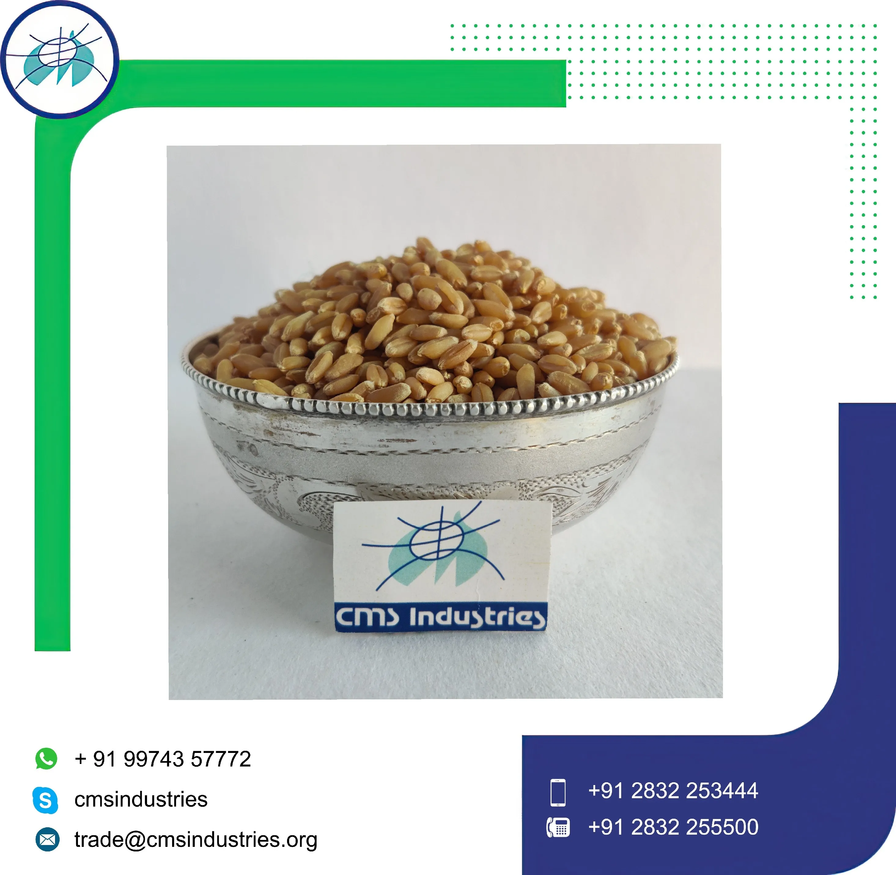 Великолепная Пшеница локвана