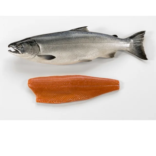 Замороженное Филе Тилапии, рыба лосося, скумбрия