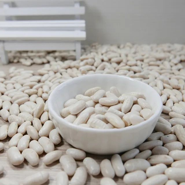  White Kidney Beans for