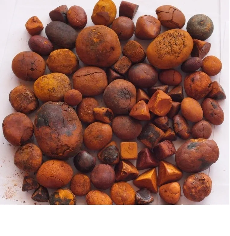 Cattle Gallstones Cow Gallstones