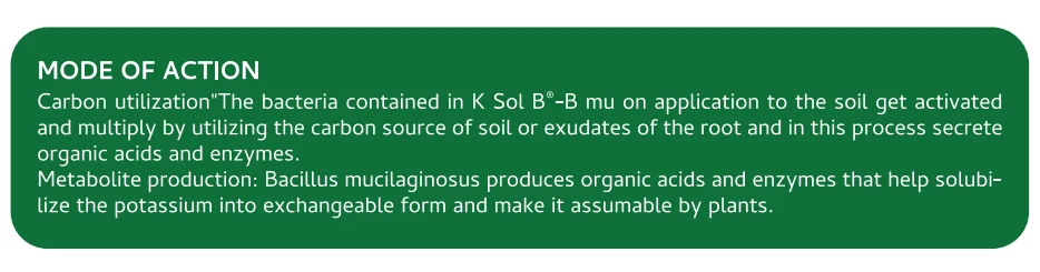 Screenshot (972).png