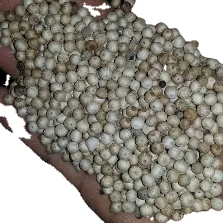 VIETNAM WHITE PEPPER SEED DOUBLE WASHED 630GR/L