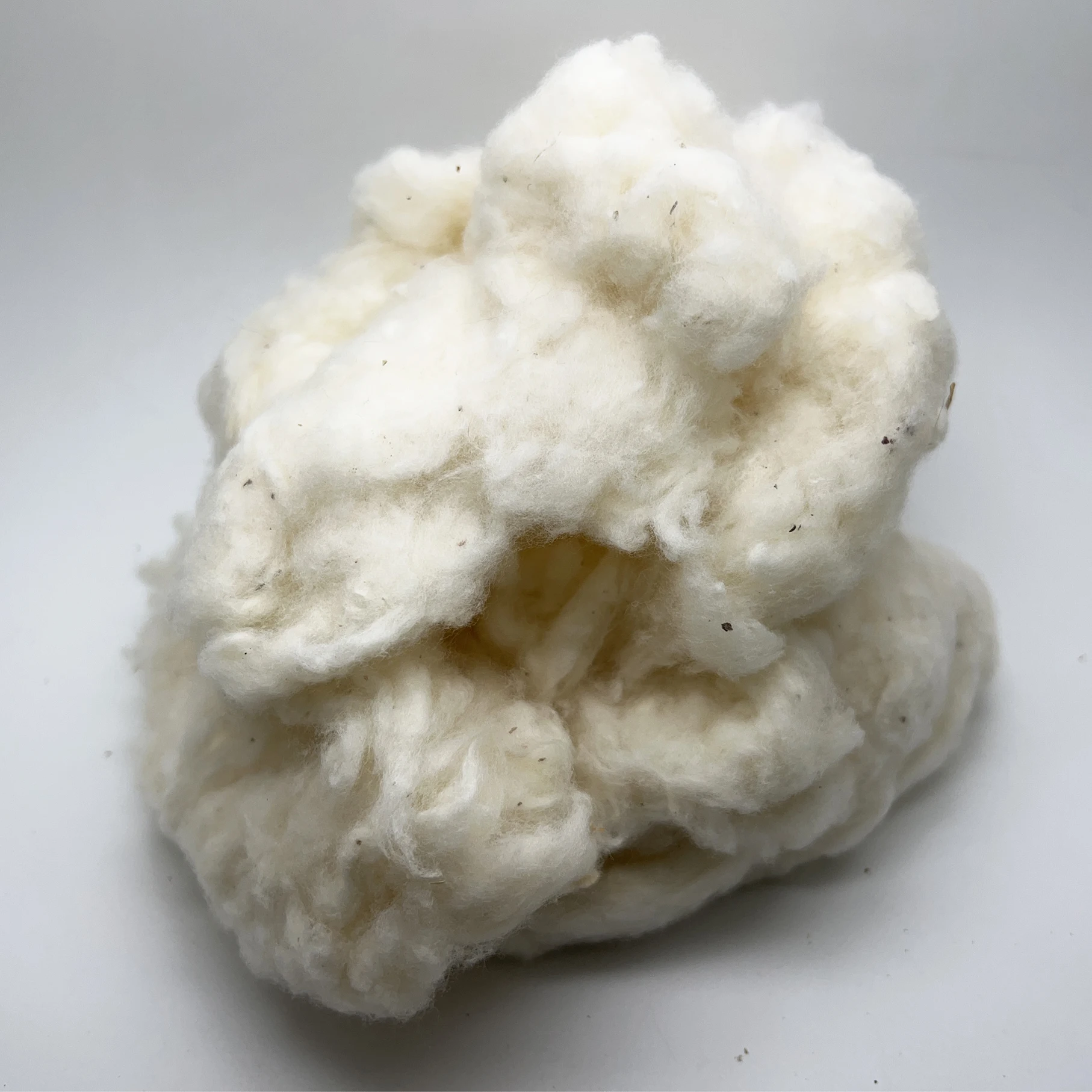 Raw Cotton Fiber for Spinning Textiles