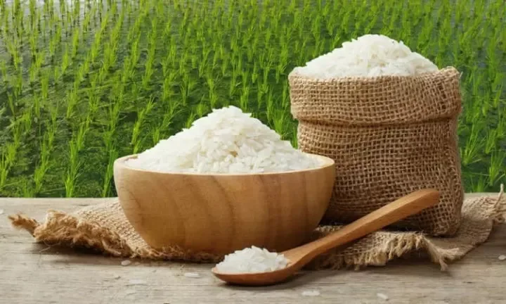 MEKONG ORSAFARM RICE (5KG) NANG HOA MEKONG SPECIAL PRODUCTS Long-Grain High Quality bulk white rice from Viet Nam