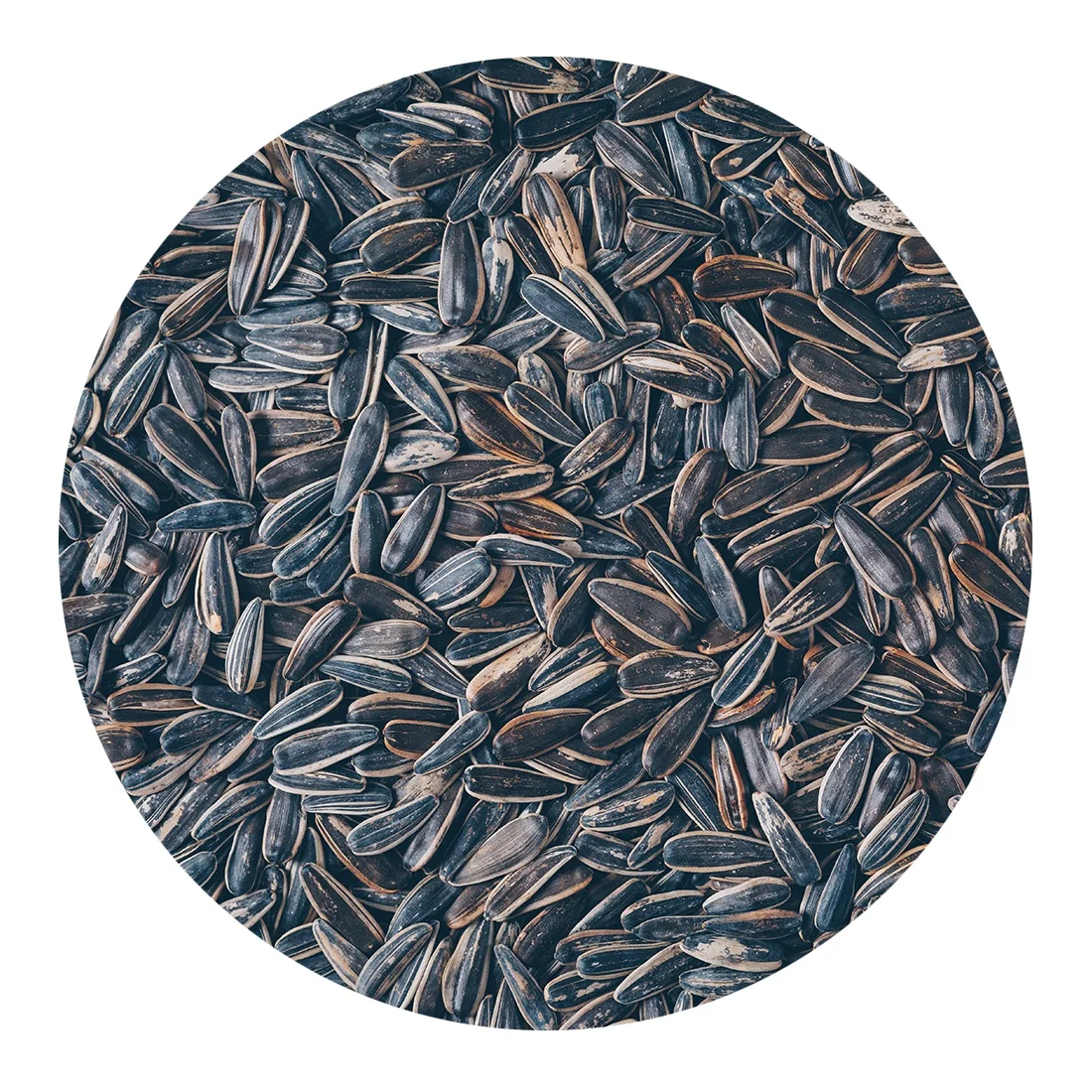 100% натуральный wholelsale оптом ядра подсолнечника и семена масла без ГМО природные Казахстан Органическое Масло семени