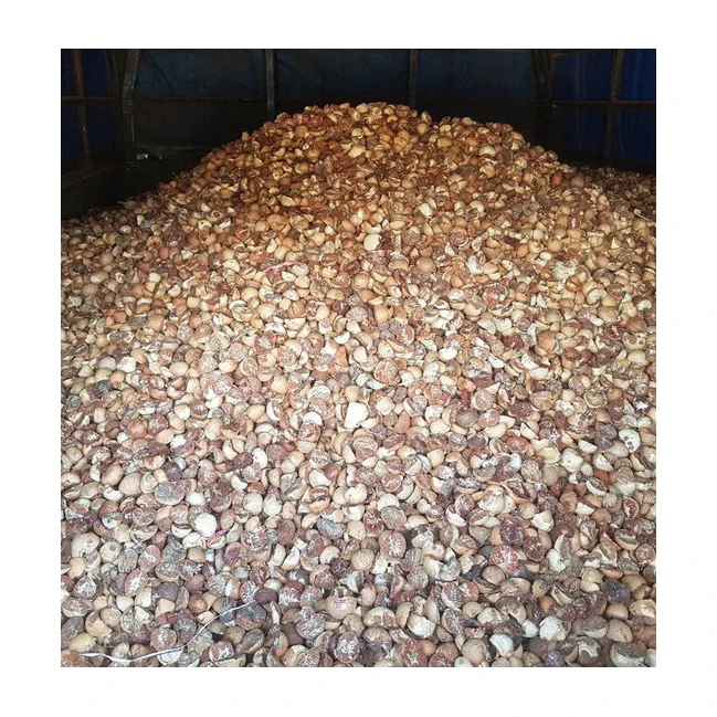 Dried Whole / Split Betel Nuts  / Areca Nuts For Sale From Thailand Top Grade