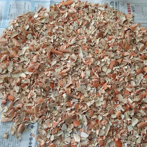 Crab-Shell.jpg