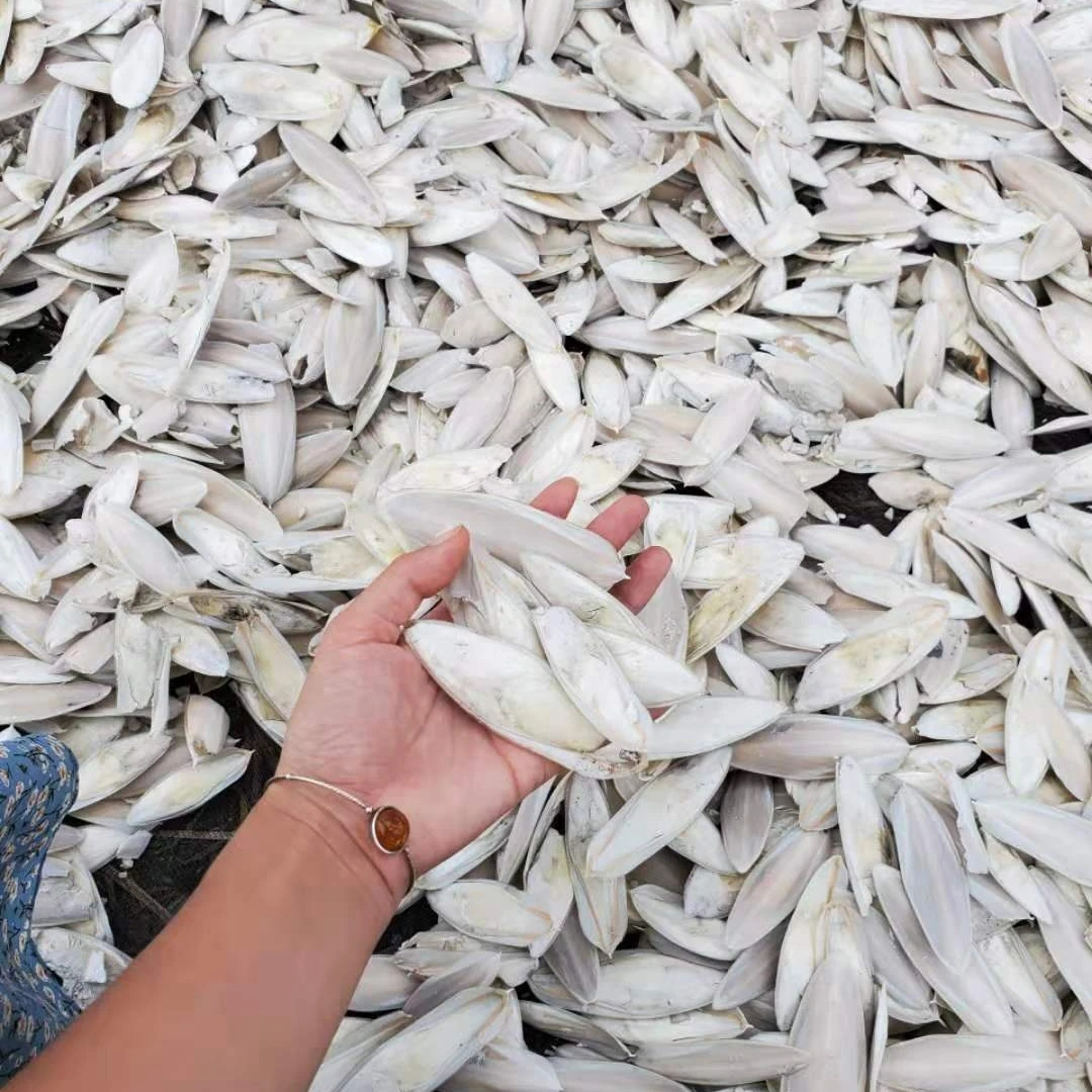 Лучшая косточка Для сушеных морских слепков сделано в Вьетнаме высокое качество 100% натуральные оптовая продажа морепродуктов кости для