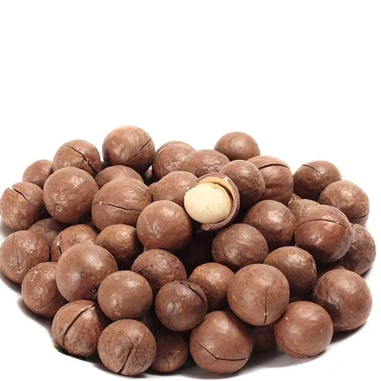 High Quality Roasted Macadamia nuts in Vietnam