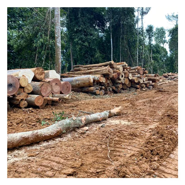 Chengal Log Timber From Malaysia - Merbau Log Timber