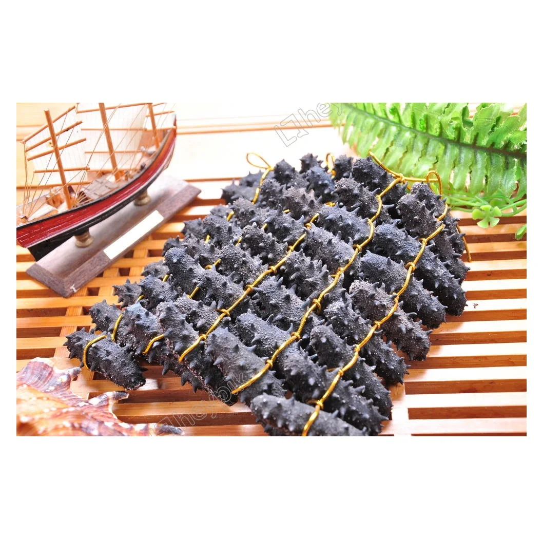 WHOLESALES DRIED SEA CUCUMBER HIGH QUALITY WHITE TEAT FISH CHEAP PRICE ELEPHAN TRUNKFISH FROM VIETNAM