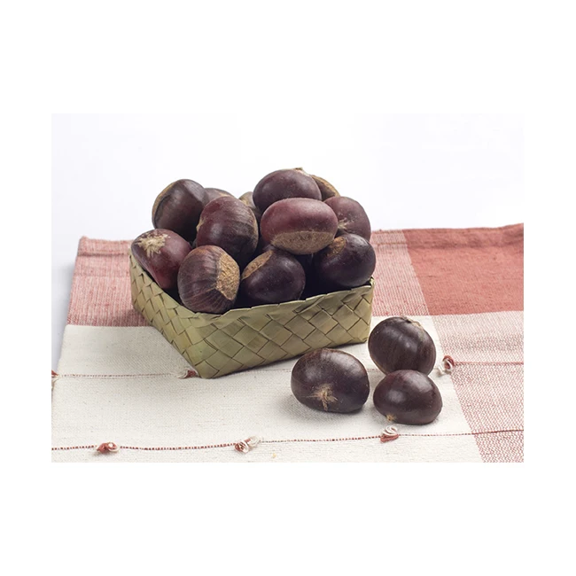 Fresh Chestnuts Fruits and Vegetables Delicious Premium Quality for 100% Export
