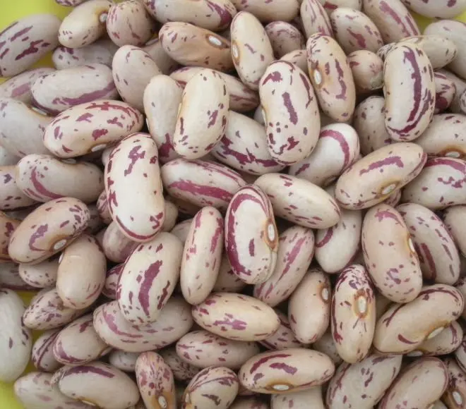 
High quality Black Kidney Beans 