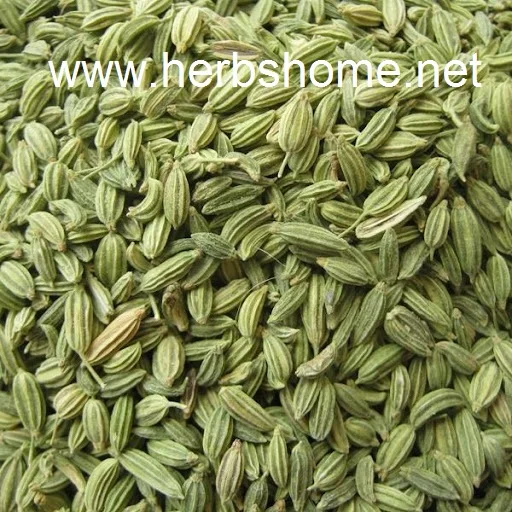 green fennel seeds human consumption purity 99.9 , ( Herbs home enterprise  for export )