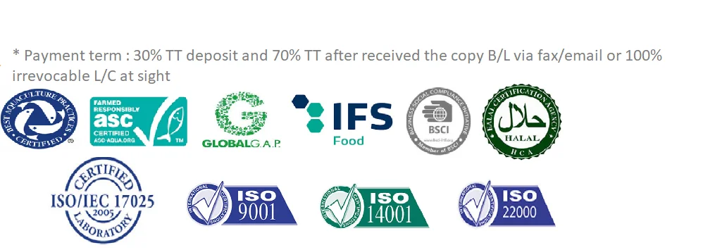 Wholesale fish fillet premium quality Frozen Pangasius / Basa fish fillet for EU Market Factory Supply