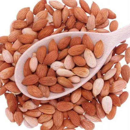 Большое количество высококачественных абрикосовых ядер недорогие абрикосовые ядра