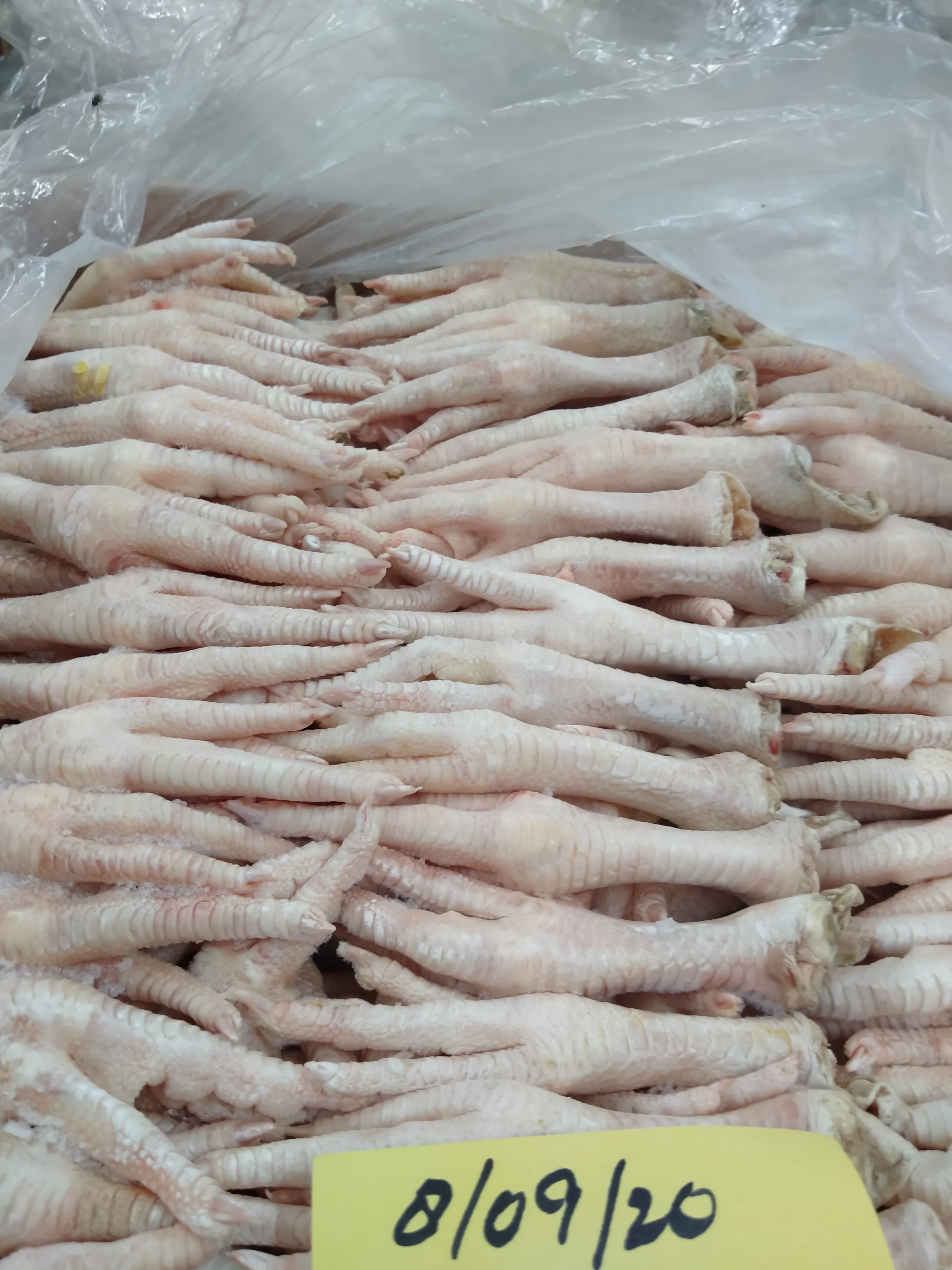 2021 лучший поставщик свежих замороженных халяльных куриных ножек/куриных ножек для продажи из Бельгии