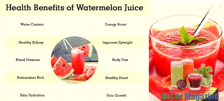 
100% WATERMELON JUICE - 1LTR 