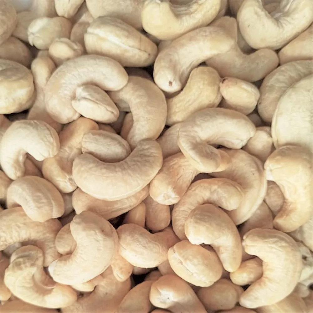 
Cashew Nuts for wholesale (W240) from Vietnam / All sizes and Carefully packaged (As requires) 