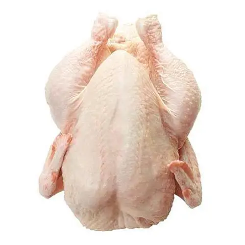 EXPORT GRADE HALAL FROZEN WHOLE CHICKEN CHICKEN FEET CHICKEN PAW