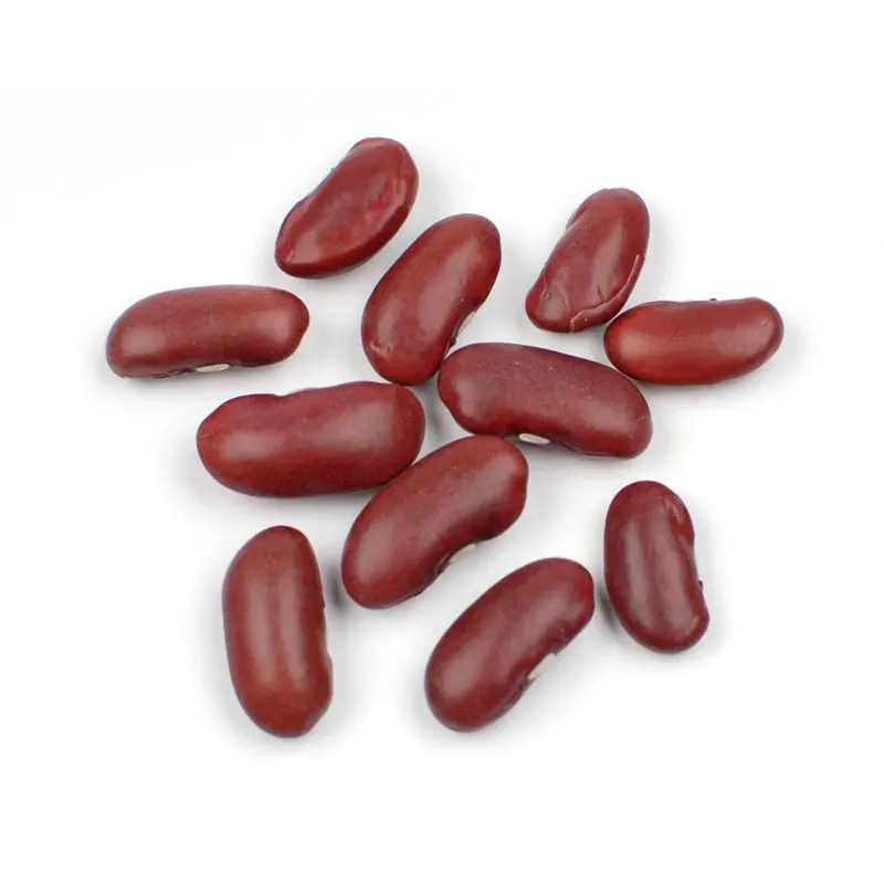 
Beans Red Kidney Healthy High Quality Adzuki Beans Red Kidney Beans Price For Sell 