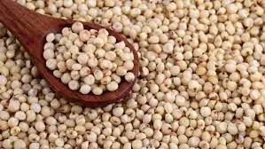 Indian Manufacturer of Top selling product Of 2022 Grain Sorghum Bulk Red and White Sorghum at Affordable Price