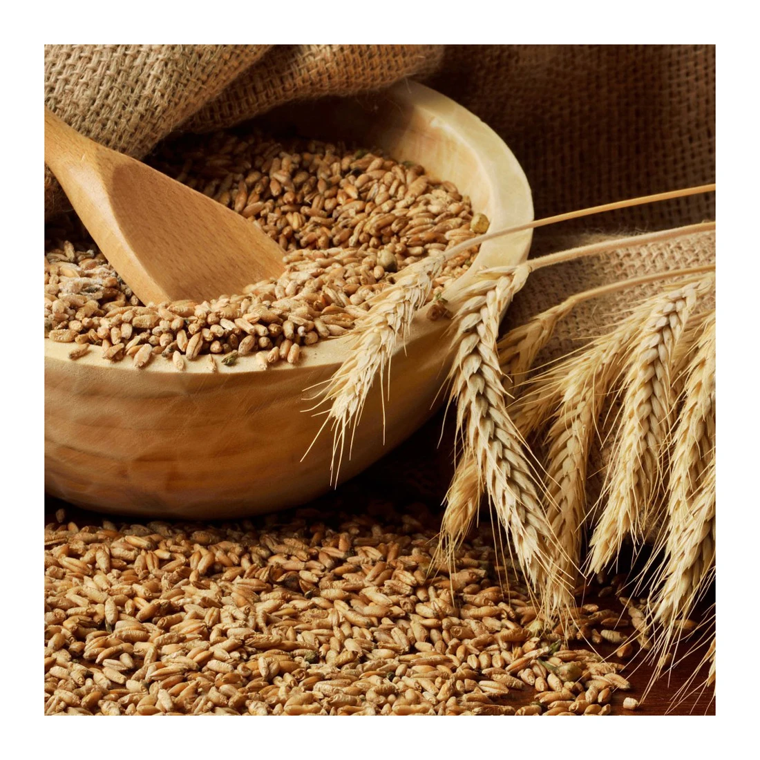 
High quality dried lentils in bulk, lentils 