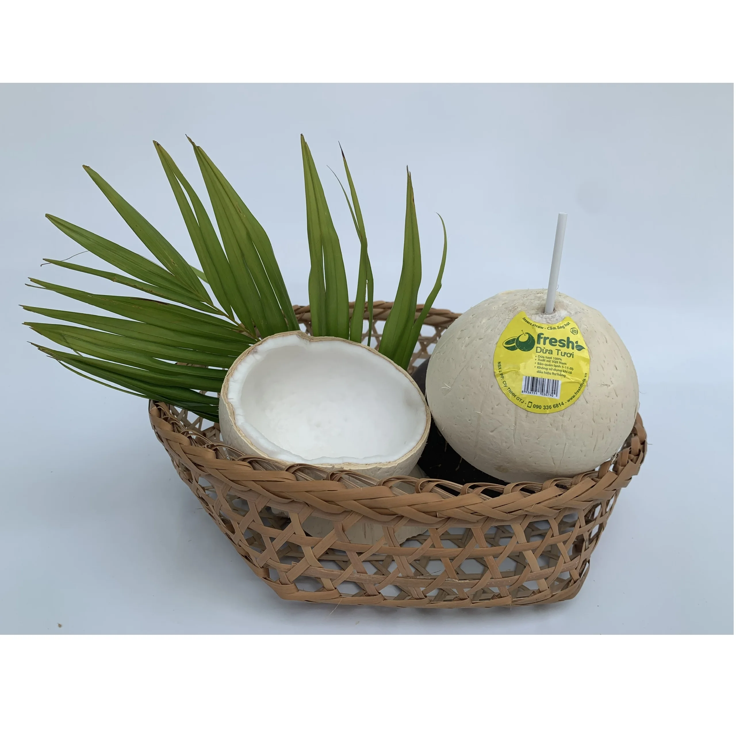 100% свежие кокосы дельта Меконга Вьетнам молодой кокос свежий удобный экспортер из
