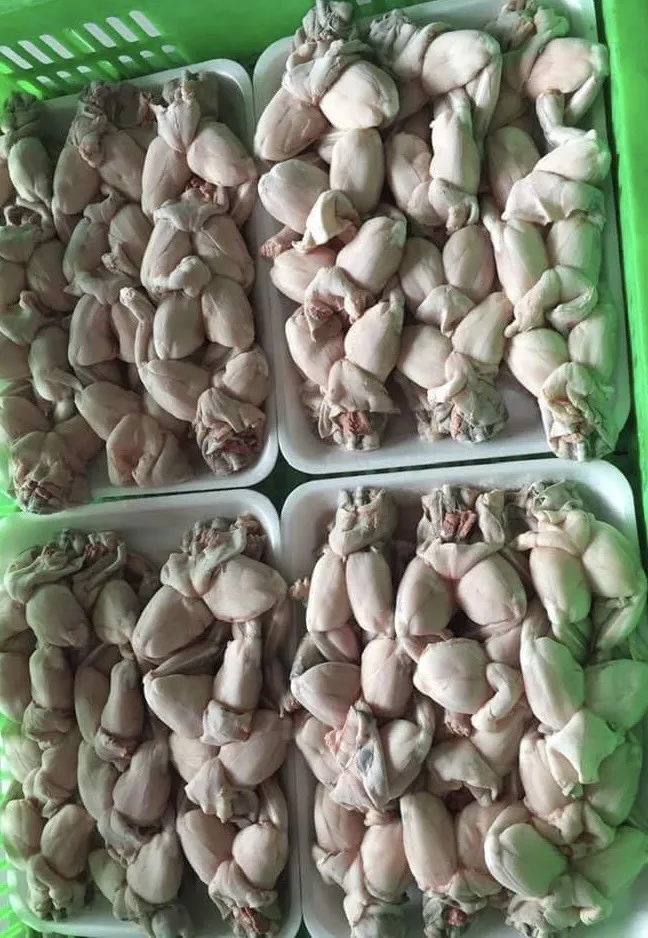 
FROZEN FROG LEGS / FARM RAISED ORGANIC FROG LEGS WITH YOGA POSTURE STYLE NO CHEMIAL 