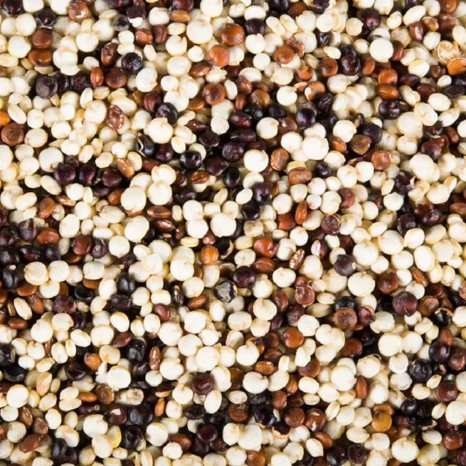 Tricolor quinoa , mix quinoa at best price from PERU