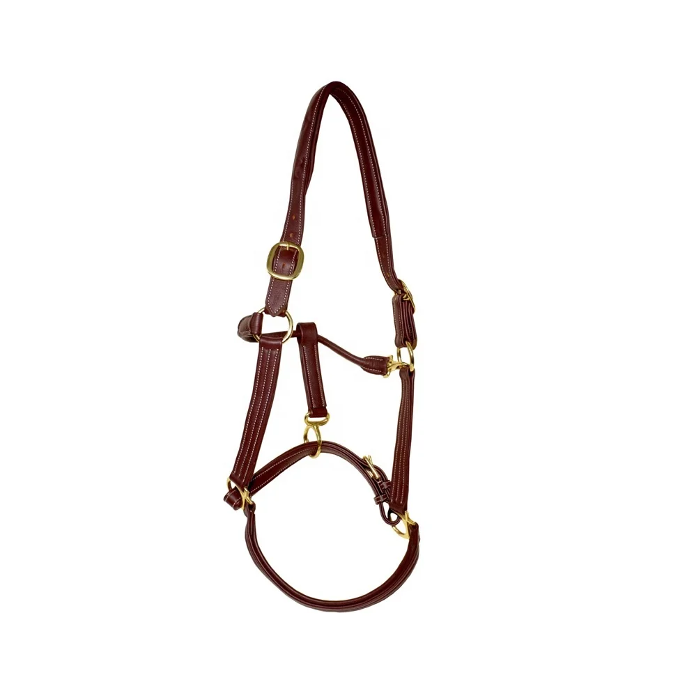 Rainbow Arabian Horse Leather Halter Suppliers