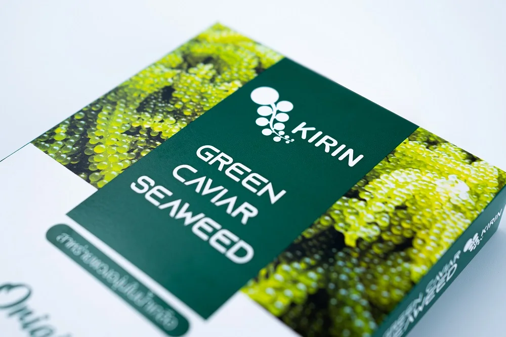 
100% Organic Fresh Seasoned Sea Grape Green Caviar with Shelf Life 9 months and Weight 80g from Thailand 