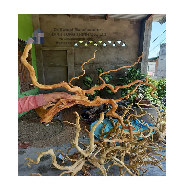 The most favorite Aquarium driftwood roots natural driftwood Aquarium driftwood for aquarium decoration