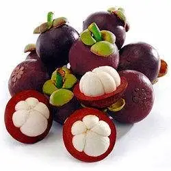 
AD Fresh Mangosteen frozen freeze dried paste Snack fruits Product of thailand by Zain Brand 