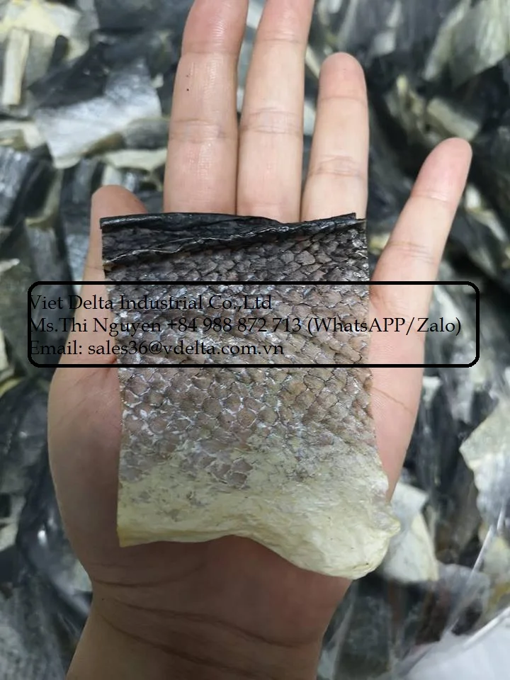 Manufacturer fish skin/ dried - snack - fried ( crispy ) of pangasius fish skin - salmon fish skin very cheap from Vietnam/ Lima