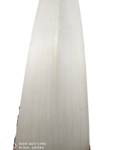 High Quality New Design Professional English Willow Made Exclusive Cricket Bat for Cricket Lovers Sports Item at Wholesale Price