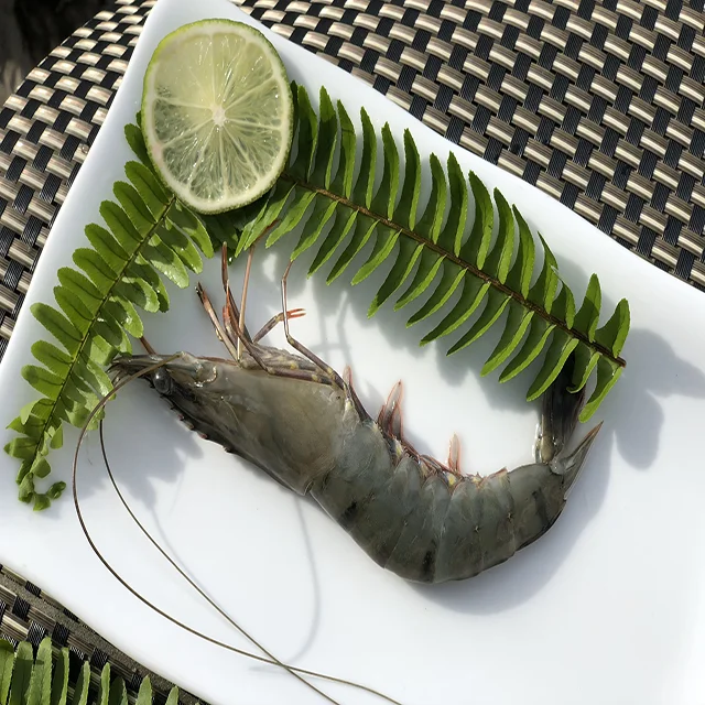 
Black Tiger Shrimp From Viet Nam 