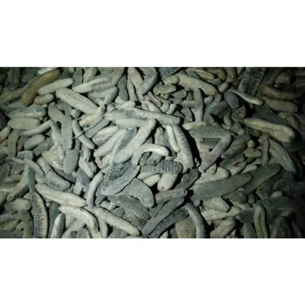 Высококачественный сухой черный/коричневый морской огурец Топ продажа от производителя