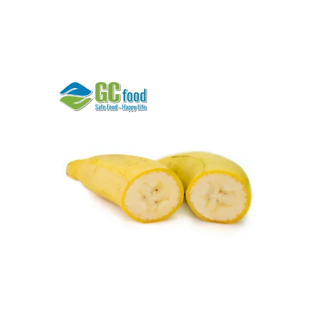 (GC Food)  Fresh Cavendish fresh  Banana  best - 100% High Quality Green Fresh Cavendish Banana pure with  from Vietnam