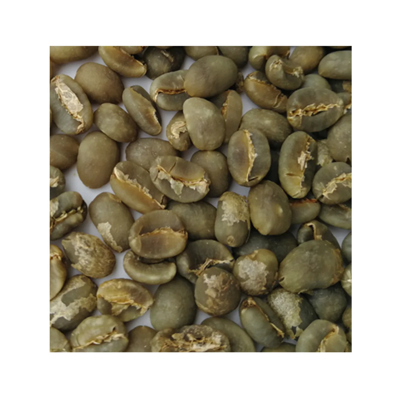 
Products in Bulk Medium Dark Italian Roasted Custom Packaging Coffee Mix Energy Drink Arabica Coffee Beans 