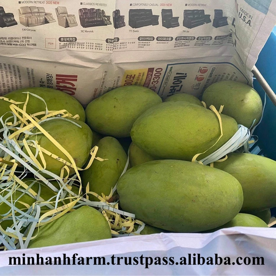 Лидер продаж 100% органическое манго во Вьетнаме низкая оптовая цена новый урожай в 2021 году