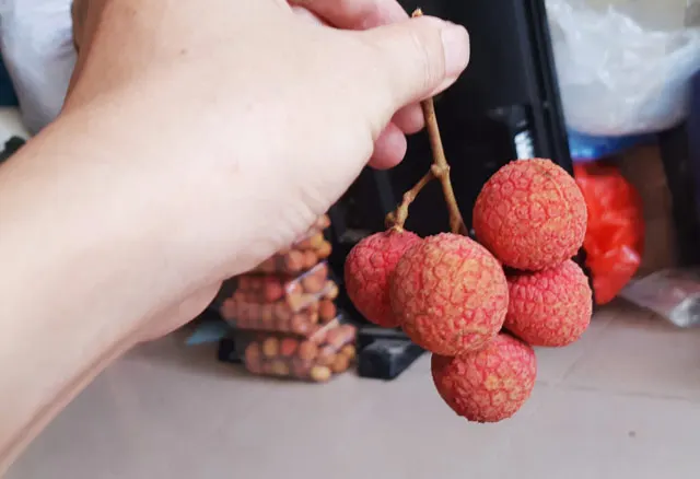 
Lychee Seedless Fresh Lychees High Quality From Viet Nam//JESSE +84359443043 