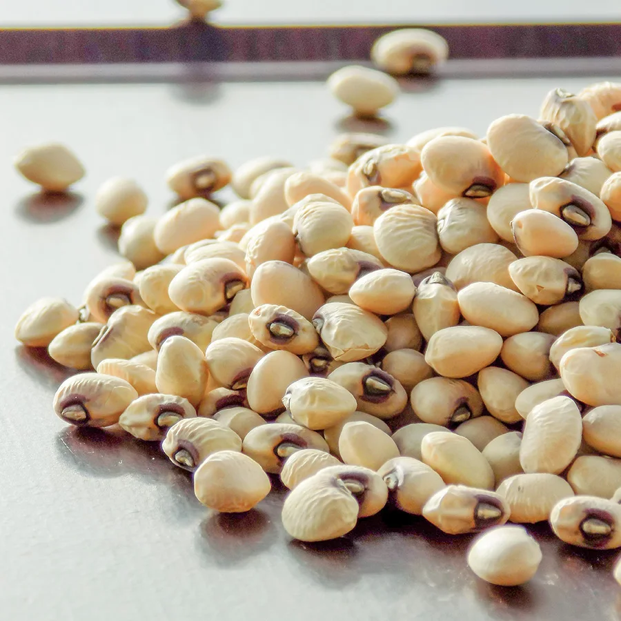 Soybeans ,Non gmo yellow soybean ,soya bean seed