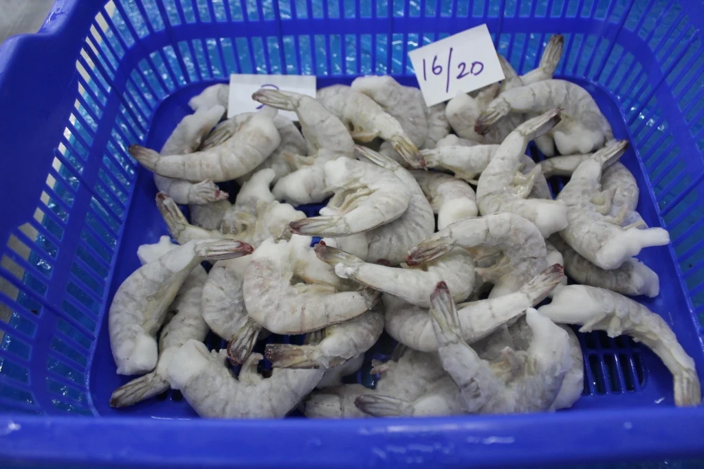 VANNAMEI IQF SHRIMP FROZEN HLSO WITH CUSTOMIZED SPECIFICATION AND HIGH QUALITY SEAFOOD EXPORTERS IN INDIA
